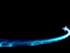 शेंगडब्ल्यू प्रोफाइल