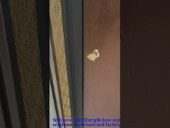 एल्यूमीनियम फ्रंट पिवोट डोर